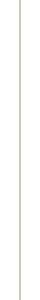 Untitled design-35 Untitled design-35